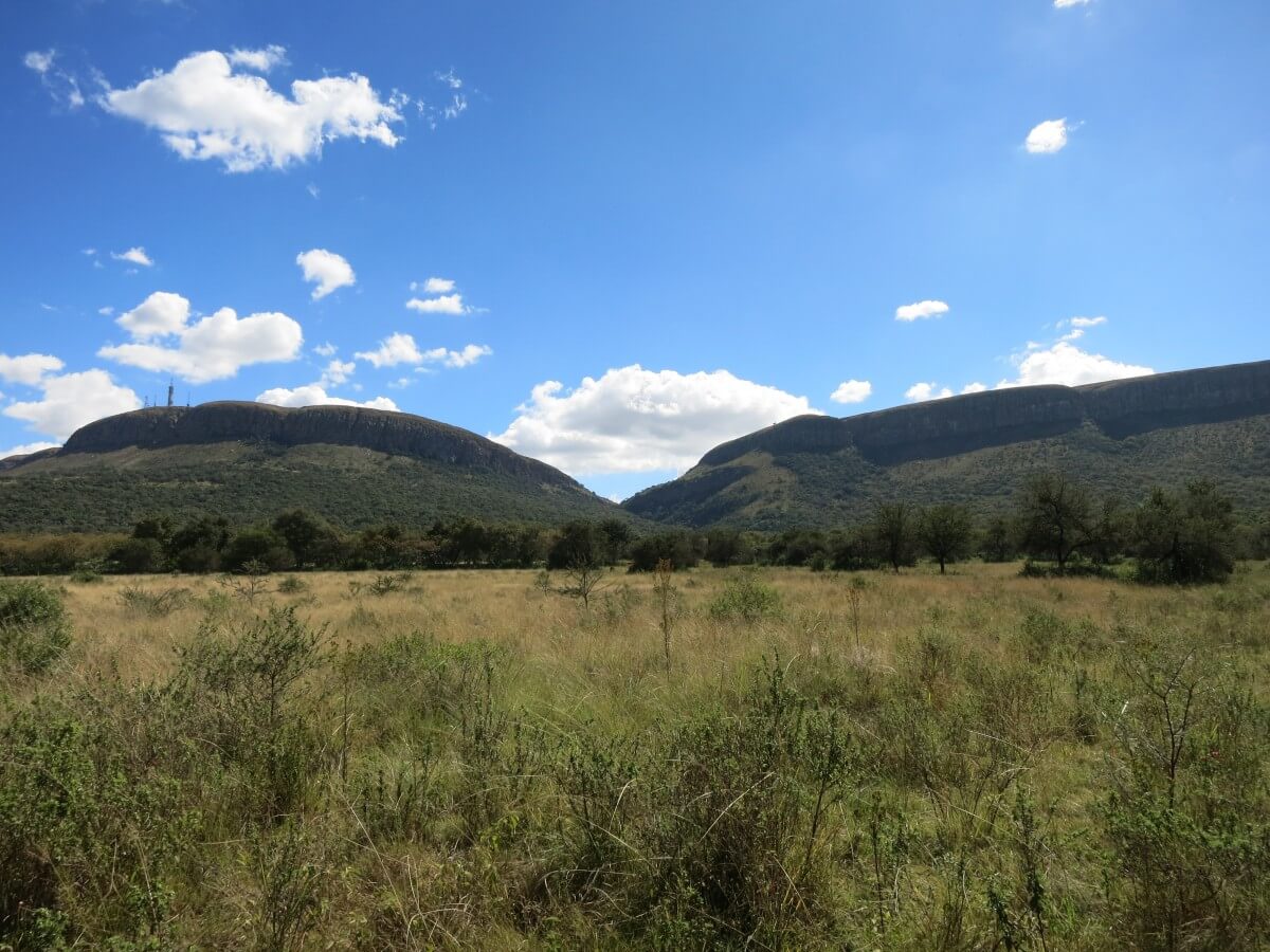 NooitgedachtGorgeLegge-Left_Clements_Right