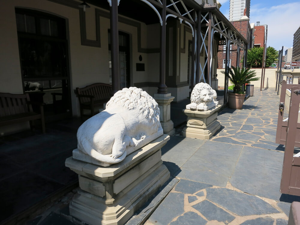 1314eKrugerLionsAtKrugerHouse