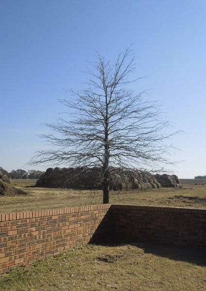 1411aPteJenkinsGravesitePaardefontein S26'43.128 E58'58.822