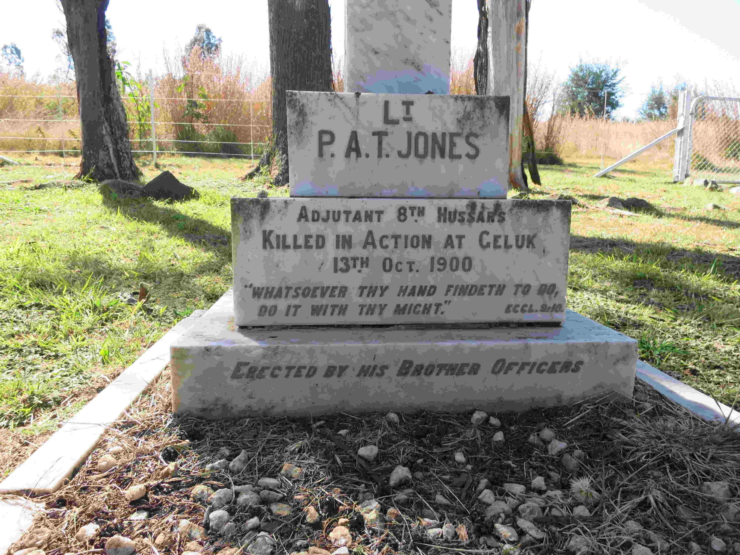 1170bJones