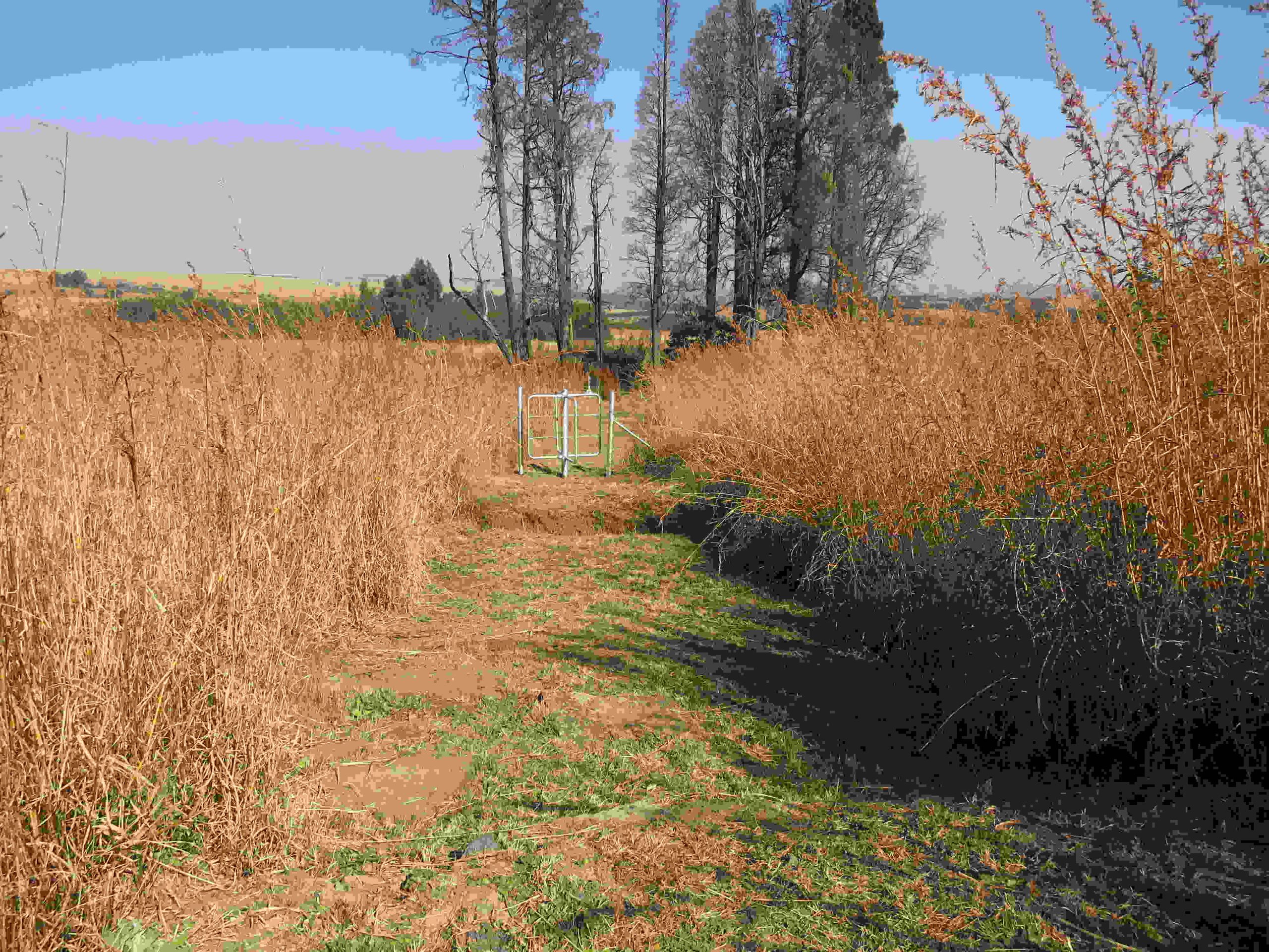 Cem_Dalmanutha Pathway To Cemetery S25'45.4213 E 030'10.1891